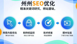 衢州seo外包公司，衢州柯城区百度网站优化厂家