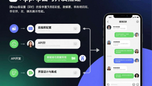 聊天app源码怎么开发搭建软件，聊天程序源码
