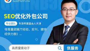 天津seo服务，天津seo托管