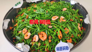 关键词排名优化网站建设公司，网站关键词优化公司哪家好