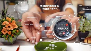 河南seo关键词优化，河南做网站优化