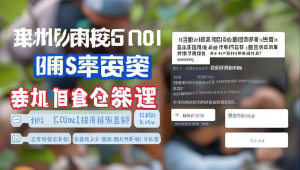 山东济南seo网站推广，山东seo首页关键词优化
