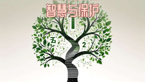 seo产品优化，知识产权推广方案