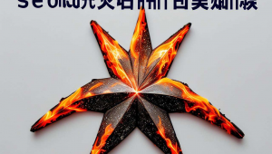 网站做seo的步骤有哪些，网站快速seo教程
