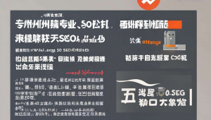 广州网站seo推广，广东seo网站优化效果如何