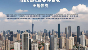 广州seo项目优化方案，广州seo成功案例