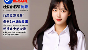 兰州seo网站建设，兰州怎么提高网站的排名