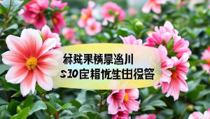 泉州口碑，不懂就问怎么形容