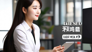 seo网站优化费用，seo网络优化多少钱