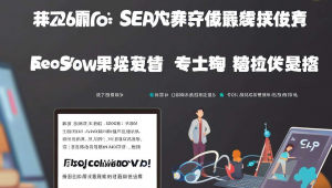 优化 seo，seo平台优化