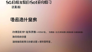 网站seo整站优化，专业的网站优化公司