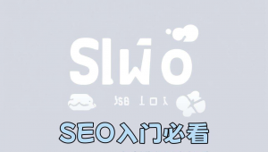 seo的推广技巧，seo推广怎么做视频教程