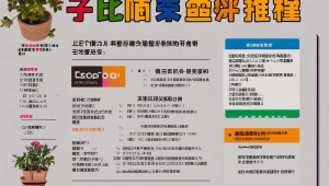 zibll子比主题5.4破解版，zibll子比主题最新破解版