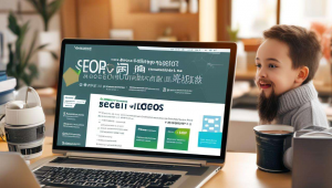 seo网站优化详解，网站seo在线优化